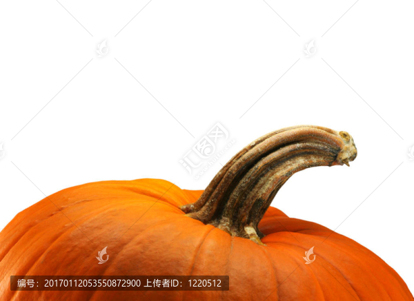南瓜