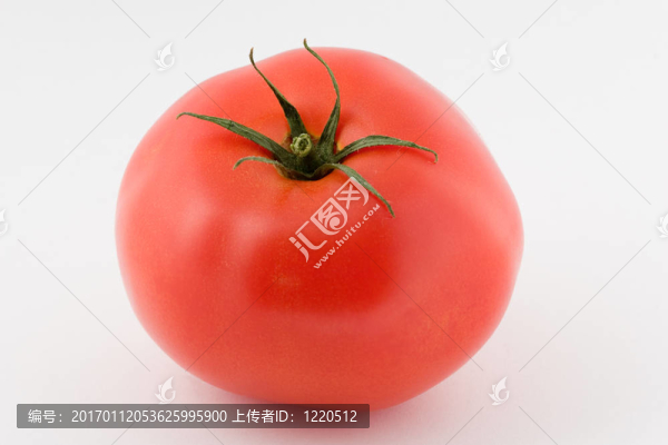 番茄中分離
