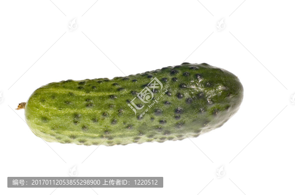 黃瓜白