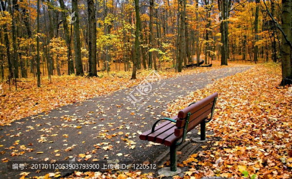 公園里的長(zhǎng)凳