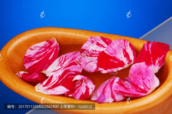 浴缸與Rose,Petals