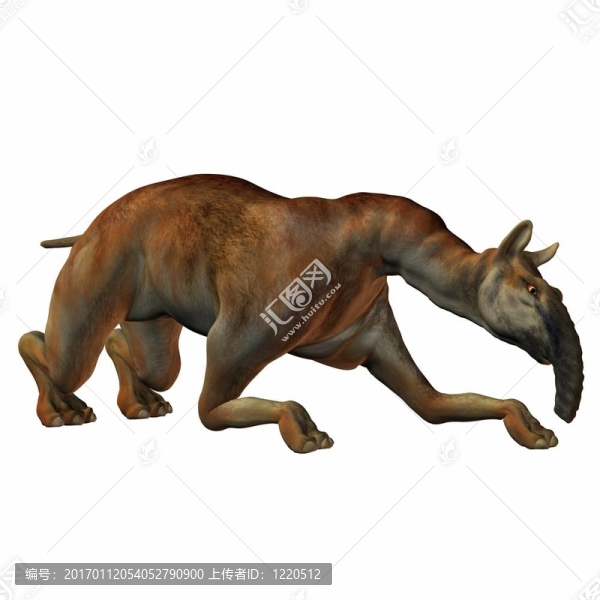 長(zhǎng)頸駝patachonica