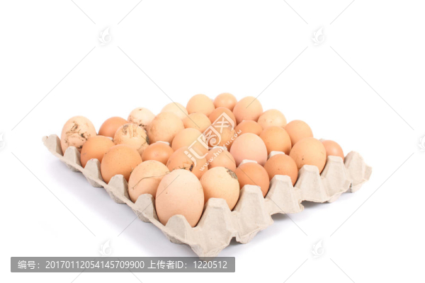 雞蛋