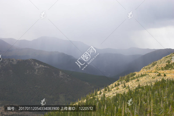 山地雨林
