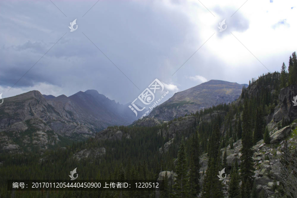 山地雨林