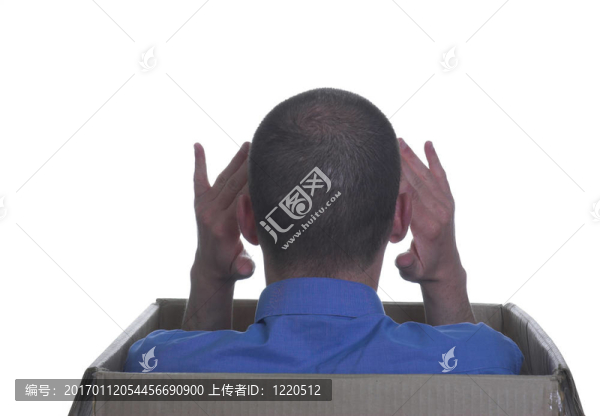大腦的應(yīng)變