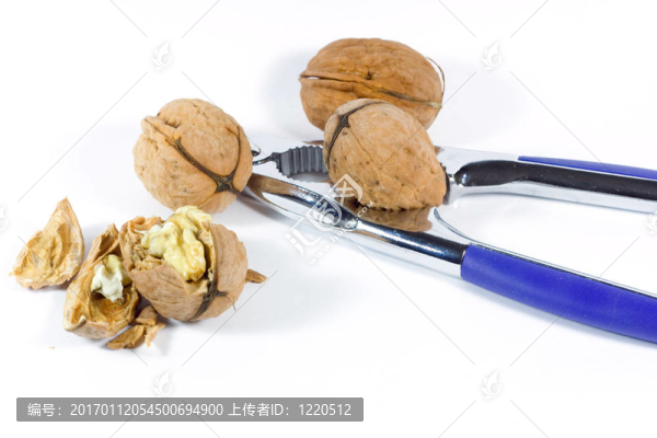 核桃