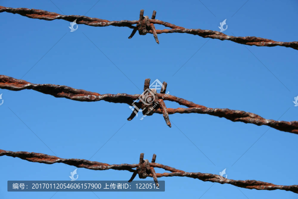生銹的鐵絲網(wǎng)