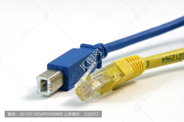 兩條電纜