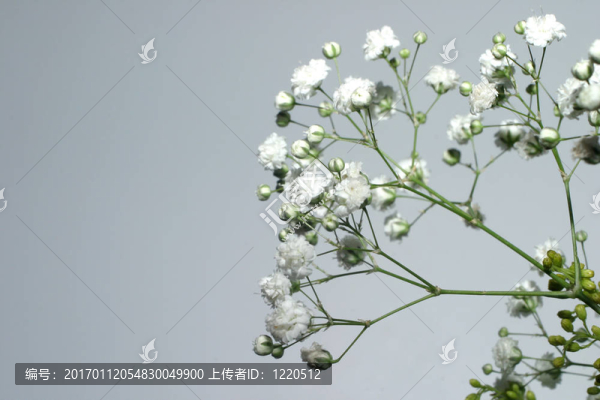 花角