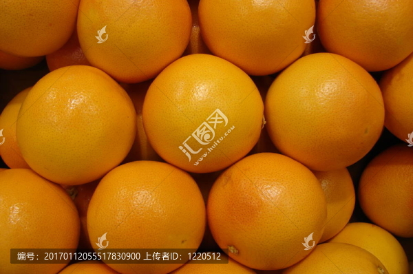 葡萄果實(shí)