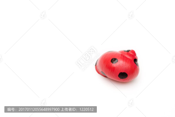 殼