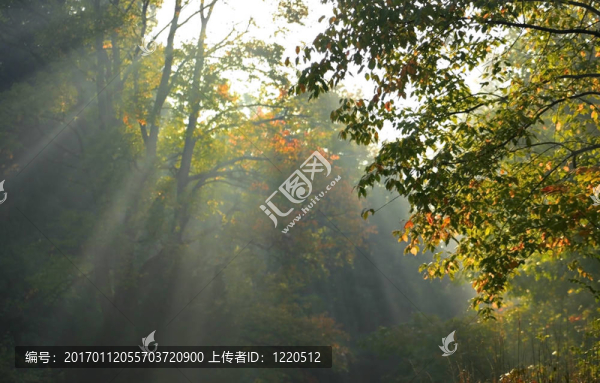 早晨太陽光