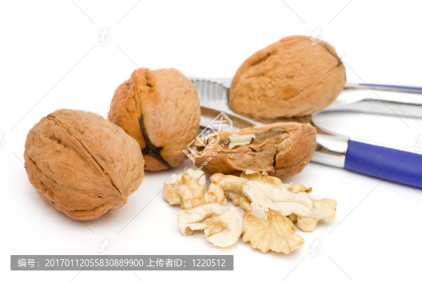 核桃