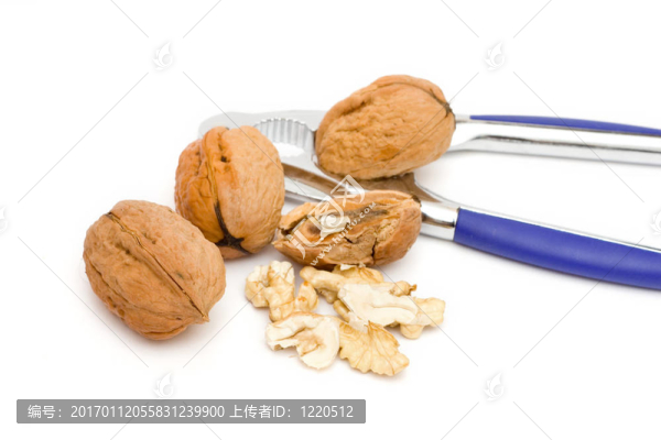 核桃