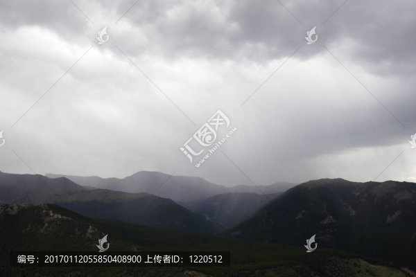 山地雨林