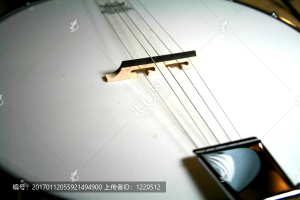 演奏班卓琴