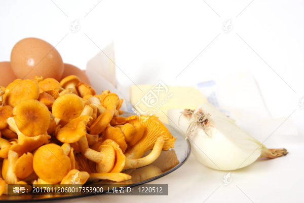 雞油菌