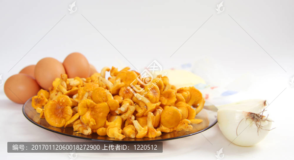 雞油菌