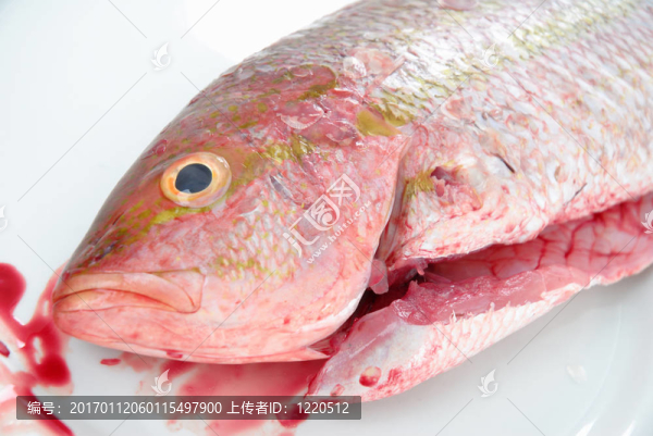 新鮮的魚