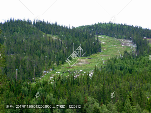高山滑雪場(chǎng)在夏天