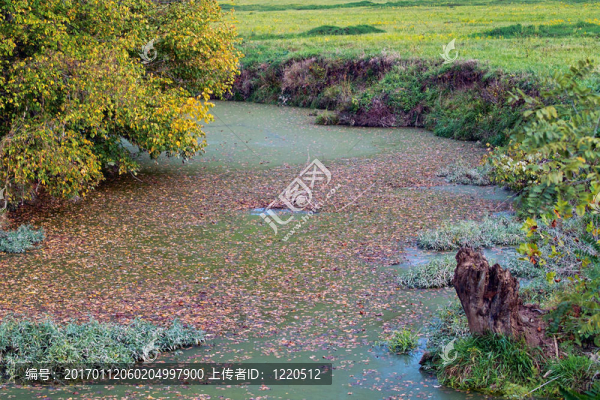 死水