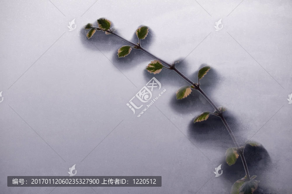 起霧的窗戶