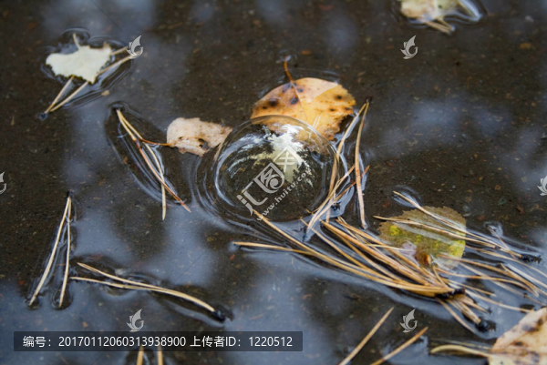 肥皂泡在水坑里