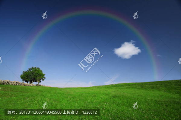 綠色的田野