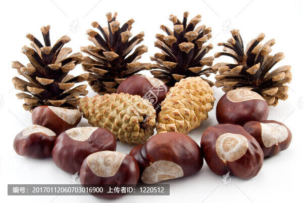 秋天的靜物