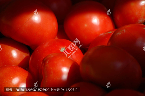西紅柿