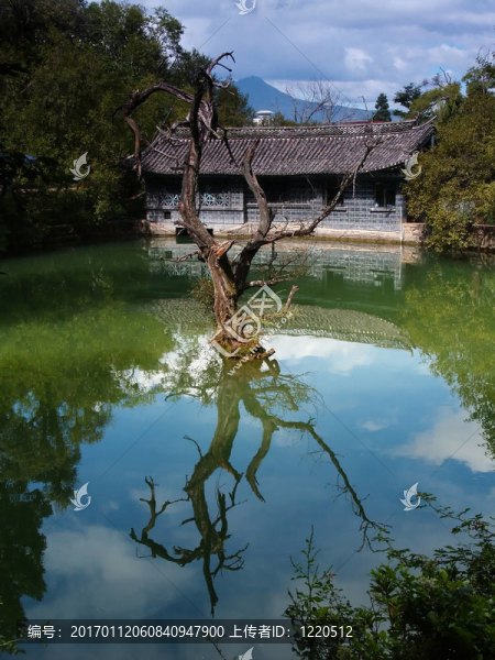 麗江的一個風景公園