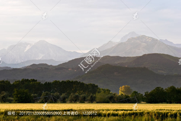 場和Mountains