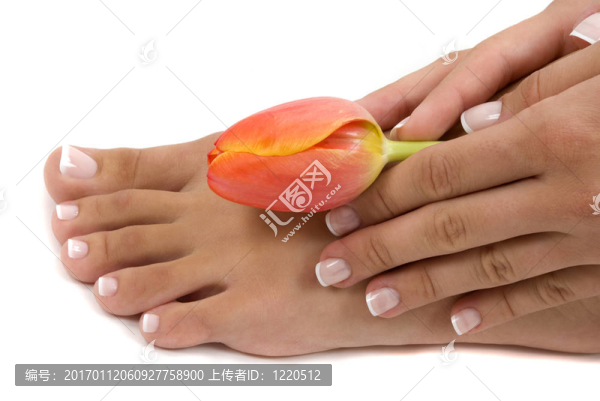 修腳和修指甲
