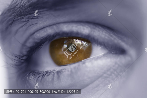 眼