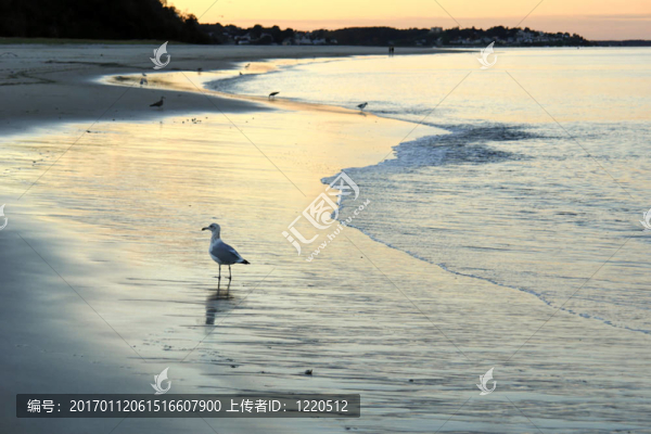 起重機(jī)海灘上的日落