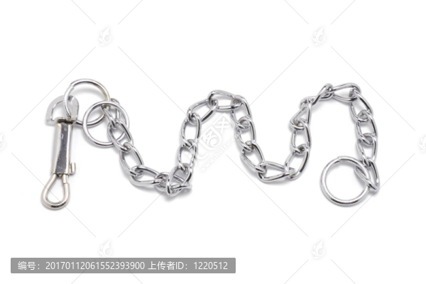 狗鏈項(xiàng)圈