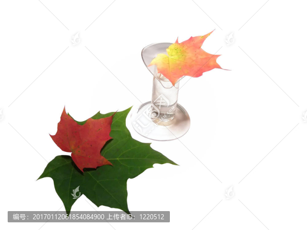 秋天的花束