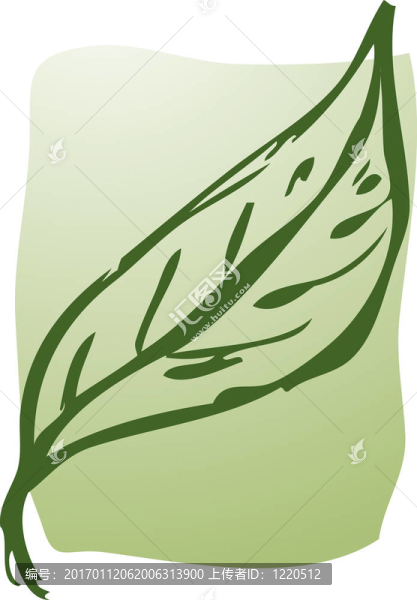 葉插圖