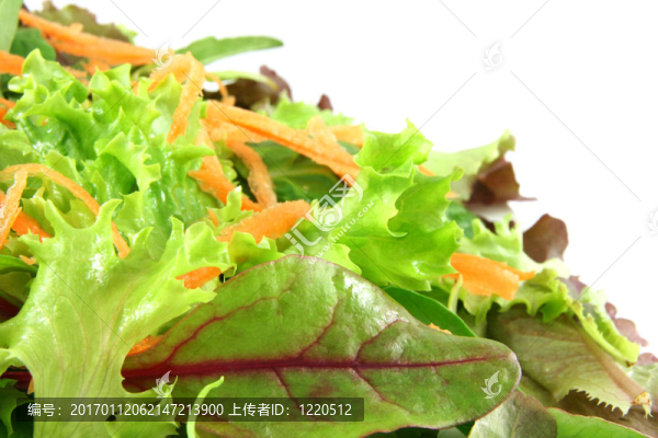 新鮮混合生菜和胡蘿卜；
