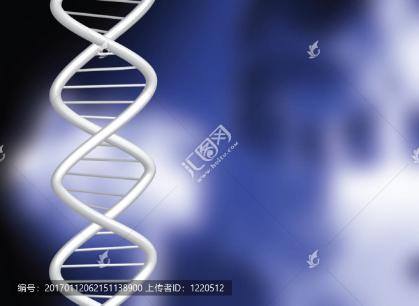 DNA