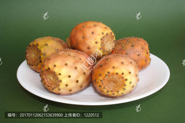 仙人掌的果實