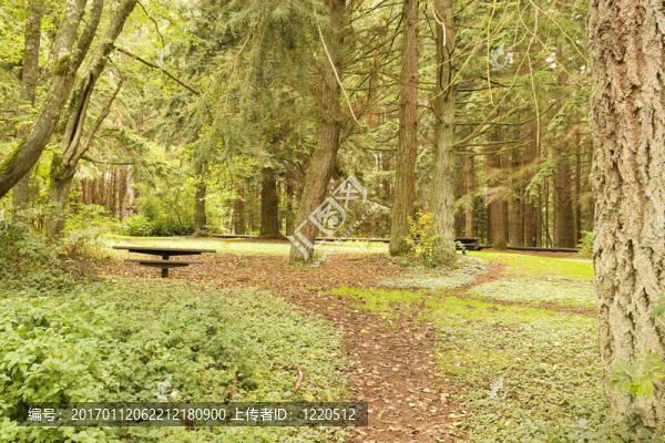 天堂野餐場地