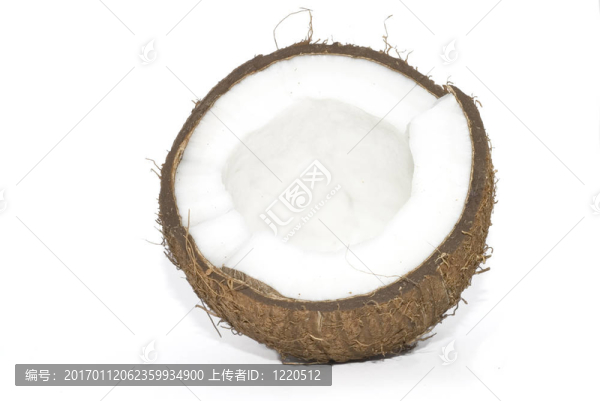 椰子樹上的椰子