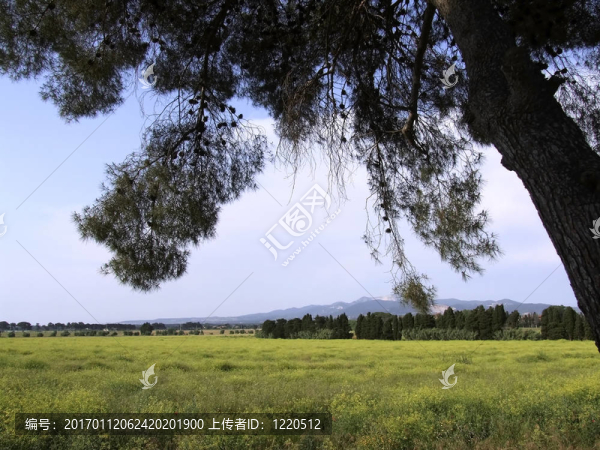 鄉(xiāng)村景觀