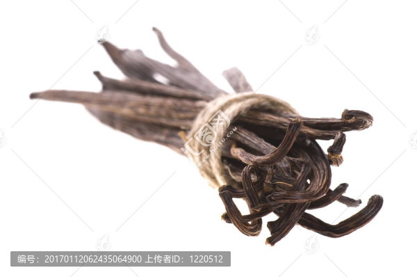 香草豆