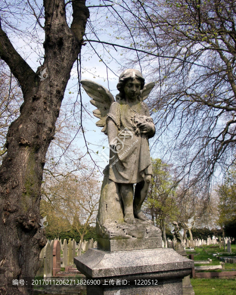 graveyard24