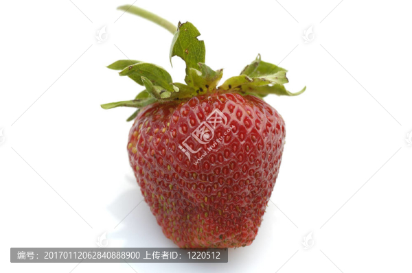 新鮮的草莓-匯圖網(wǎng) www.fosd68.com 新鮮的草莓