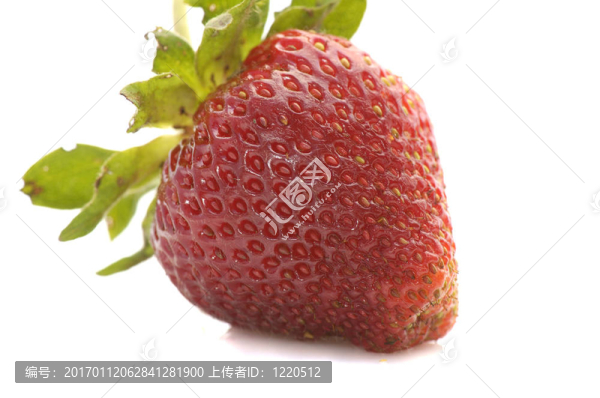 新鮮的草莓