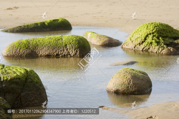 石頭